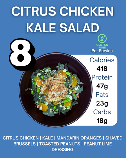 Pick 6 Meals (3 FREE) - Gourmet Ready To Eat Meals Cooked in SLC